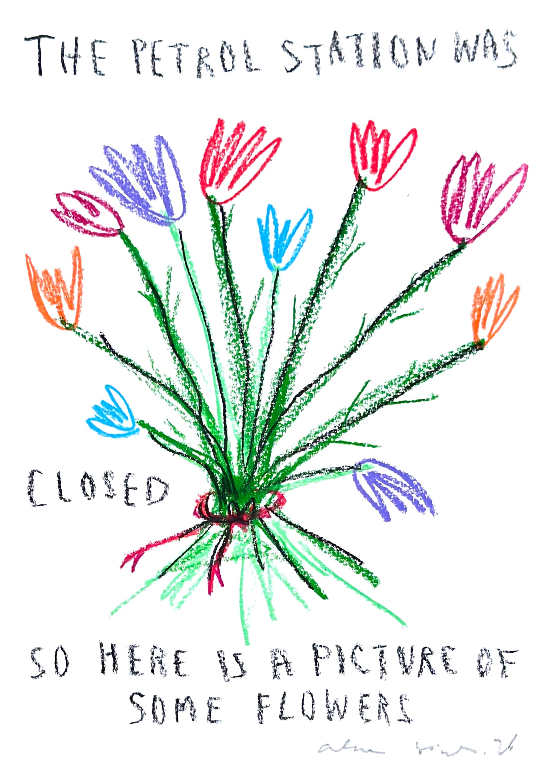 A Picture Of Some Flowers